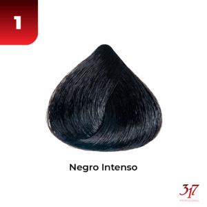 1 NEGRO INTENSO