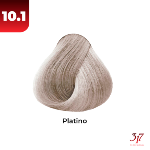 10.1 PLATINO